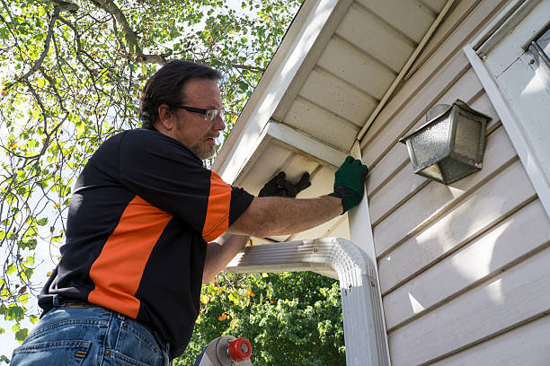 Best Siding Removal and Disposal  in Glencoe, AL